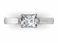 womans rings SWP40 birds eye view