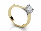 Rings SYR71 profile view